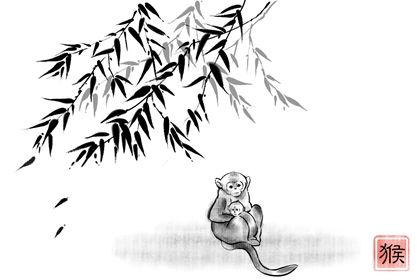 女猴和男兔嗎無法追到老嗎 能在一同嗎（女兔與男猴能結(jié)婚嗎好嗎）