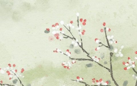 好聽易念的名字